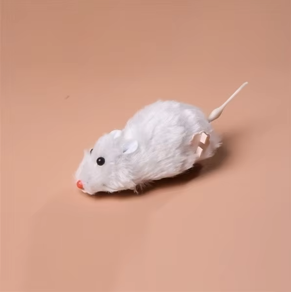 Electric Cat Toy Mouse – Interactive Racing Mouse For Hunting Fun